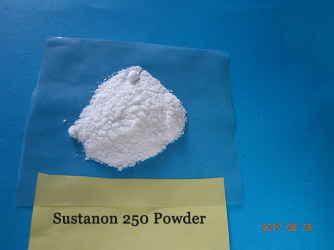 Sustanon 250 Powder | Buy Legit Raw Testosterone Blend Sustanon
